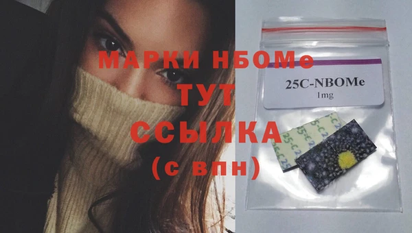 винт Абаза