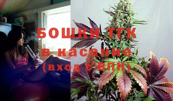 шишки Абинск