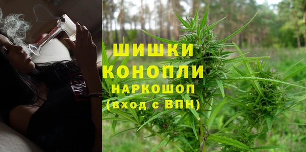 винт Абаза